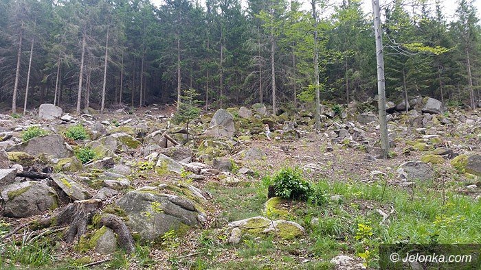 rodzinnie-na-staroscinskie-skay-byo-pieknie-foto-69963