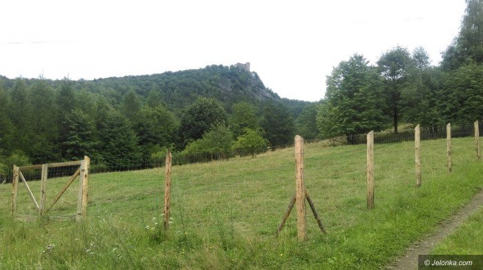 naturalne-kosiarki-pod-chojnikiem-foto-70005