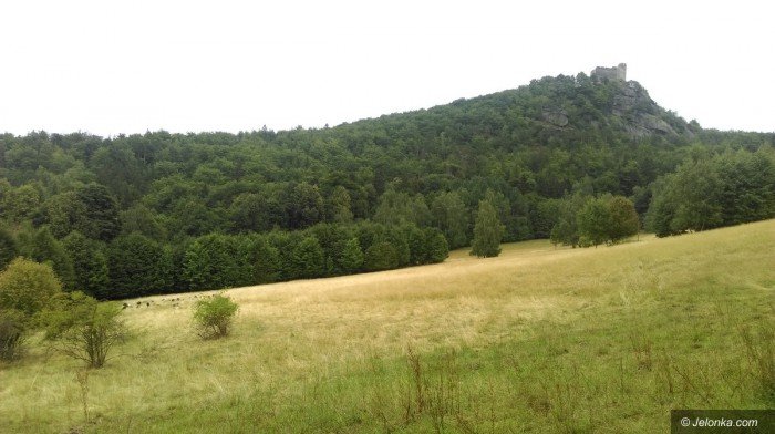 naturalne-kosiarki-pod-chojnikiem-foto-70005
