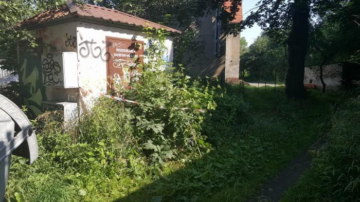 wracamy-do-tematu-straz-miejska-przeprasza-foto-70018