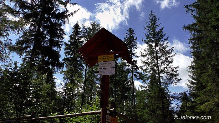 wedrowki-jelonkicom-kamienczyk-i-ametysty-foto-70022