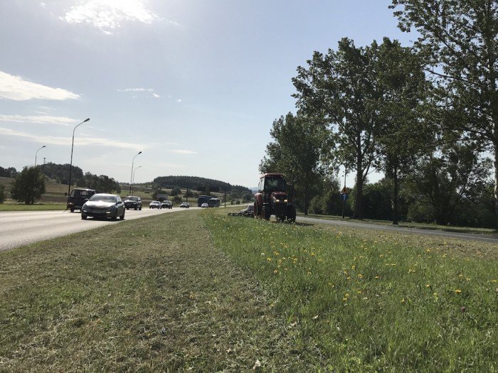 w-miescie-kosza-plewia-sprzataja-foto-70070