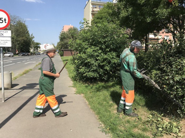w-miescie-kosza-plewia-sprzataja-foto-70070