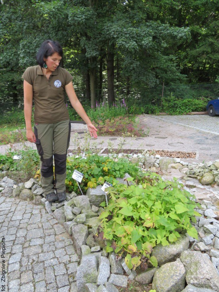 szkolenie-botaniczne-kpn-foto-70136