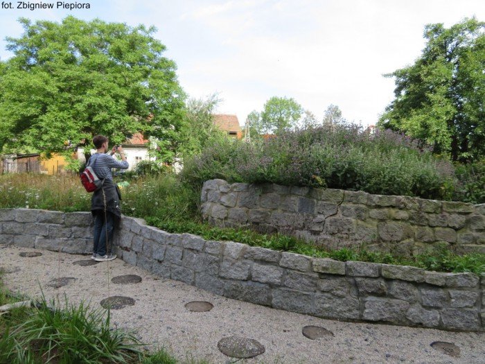szkolenie-botaniczne-kpn-foto-70136