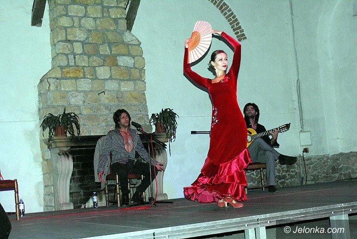 kolorowe-i-ekspresyjne-flamenco-w-bukowcu-foto-70148