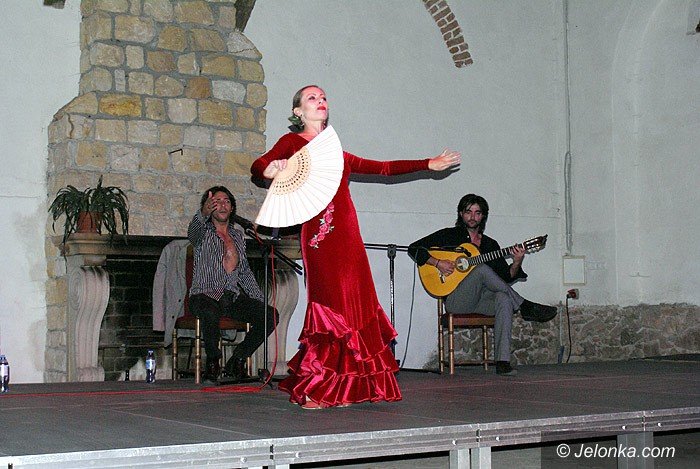 kolorowe-i-ekspresyjne-flamenco-w-bukowcu-foto-70148