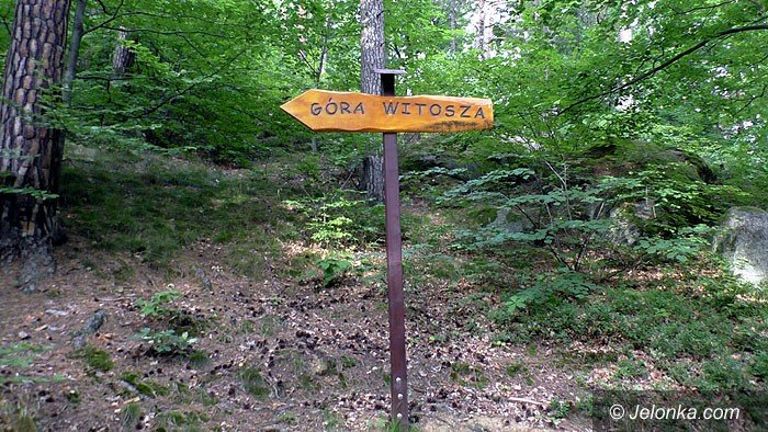 wedrowki-jelonkicom-ze-staniszowa-na-witosze-foto-70161