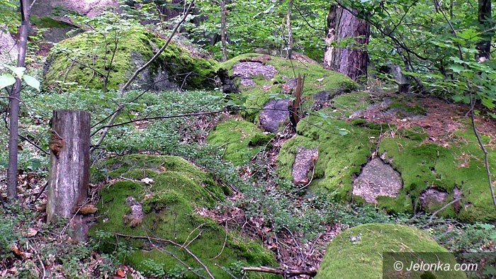 wedrowki-jelonkicom-ze-staniszowa-na-witosze-foto-70161