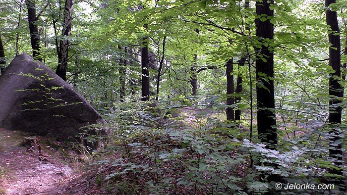 wedrowki-jelonkicom-ze-staniszowa-na-witosze-foto-70161