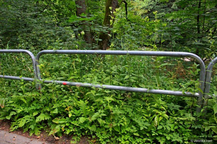 droga-na-pere-zachodu-bezpieczna-foto-70182