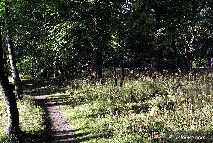 czytelnik-zarosniety-park-norweski-foto-70195