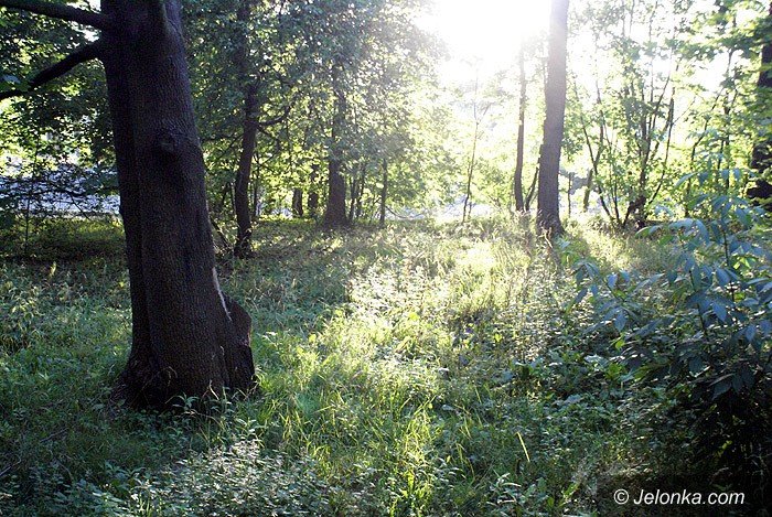 czytelnik-zarosniety-park-norweski-foto-70195