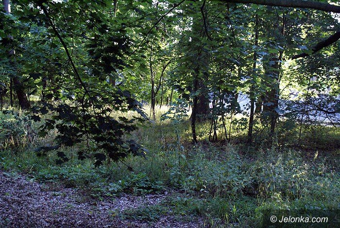 czytelnik-zarosniety-park-norweski-foto-70195