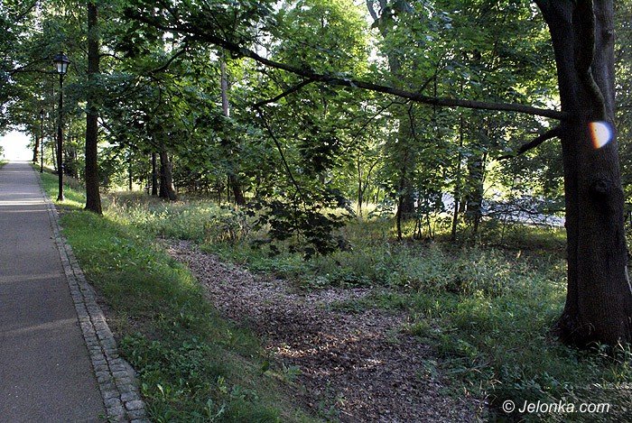czytelnik-zarosniety-park-norweski-foto-70195