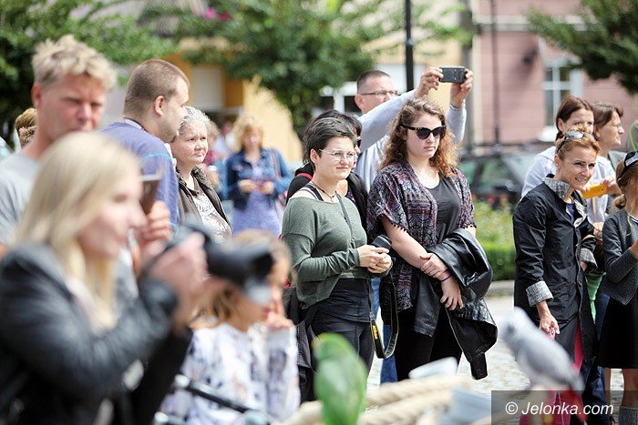przemarsz-bohaterow-fantasy-we-wleniu-foto-70249