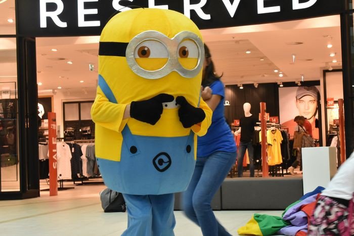 minionkowe-wakacje-z-rynusiem-foto-70256