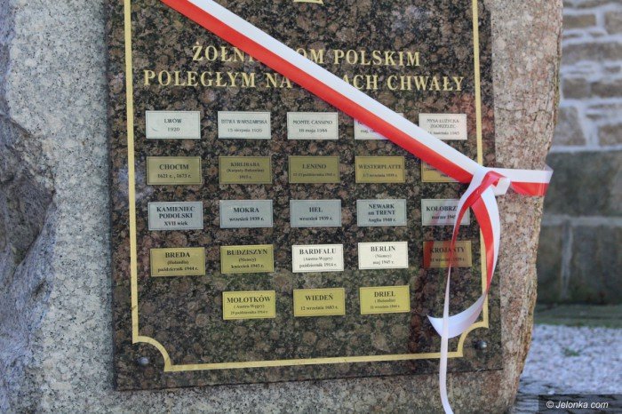 swieto-wojska-polskiego-z-nutka-polityki-foto-70284