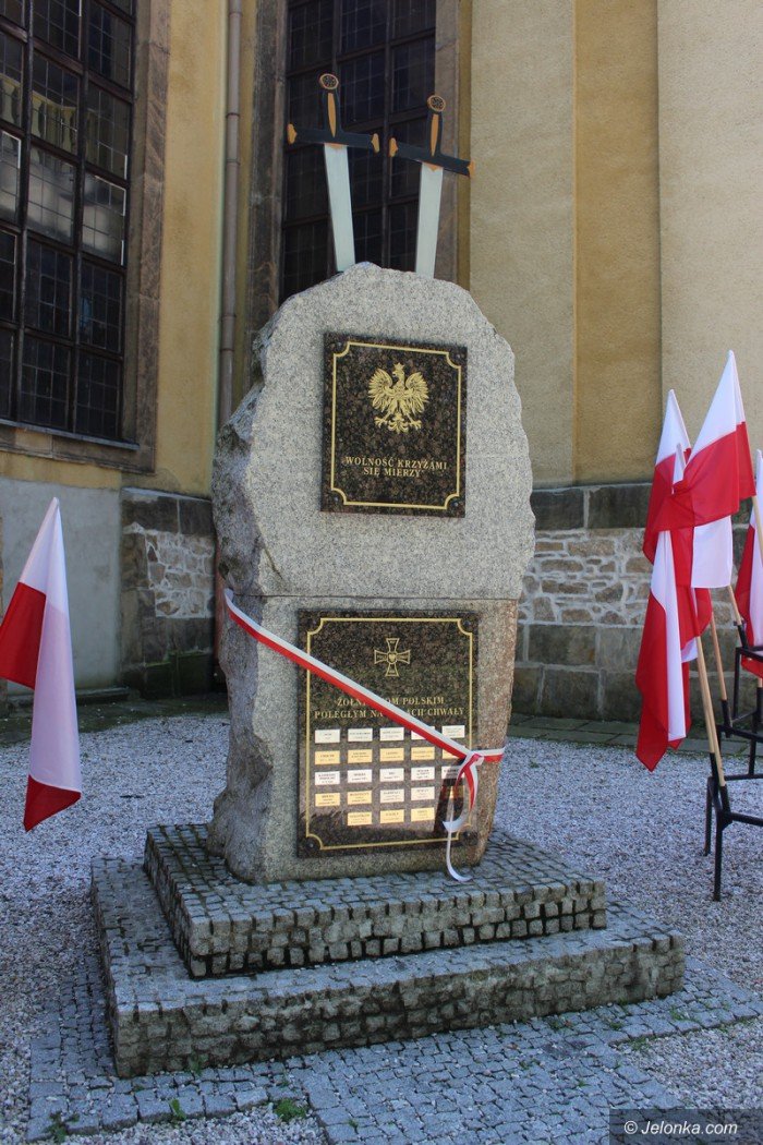 swieto-wojska-polskiego-z-nutka-polityki-foto-70284