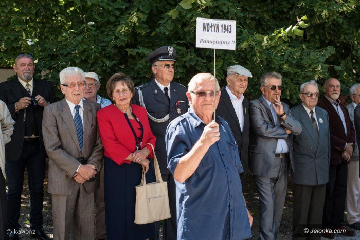 swieto-wojska-polskiego-z-nutka-polityki-foto-70284