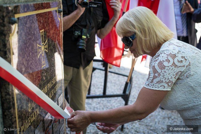 swieto-wojska-polskiego-z-nutka-polityki-foto-70284