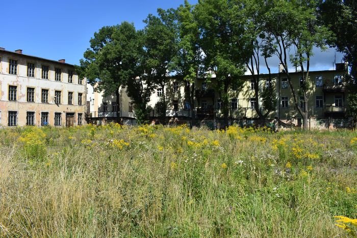 centrum-jeleniej-gory-okiem-przedsiebiorcy-foto-70311