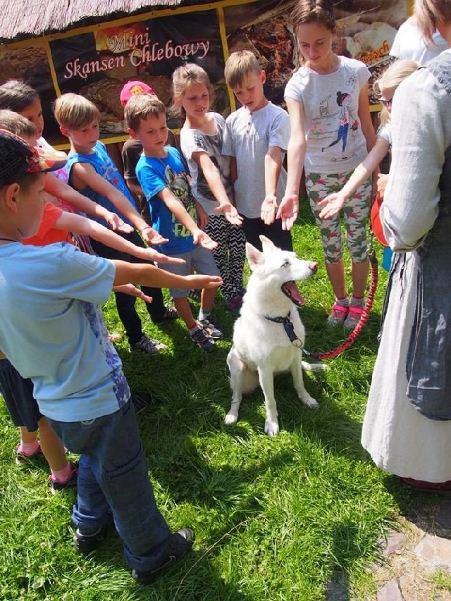 wspaniae-warsztaty-dla-dzieci-w-przystani-tworczej-foto-70338
