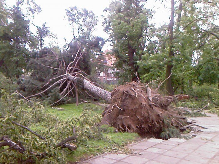 Po przejściu nawałnicy