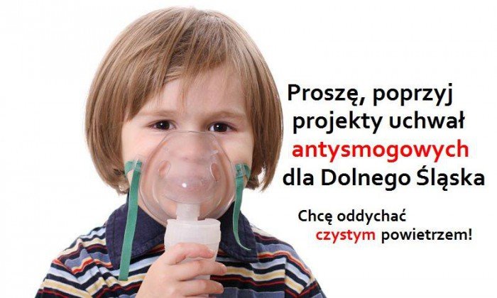 zapraszaja-na-konsultacje-ws-projektow-uchwa-antysmogowych-70437