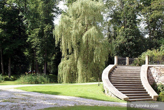 najpiekniejsze-miejsca-na-slubny-plener-foto-70524