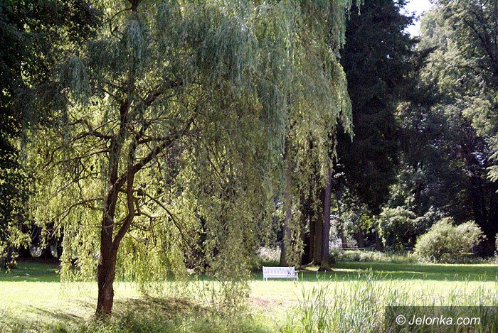 najpiekniejsze-miejsca-na-slubny-plener-foto-70524