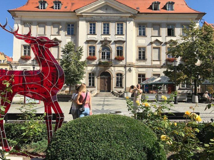jelonek-zmodyfikowany-prezentuje-sie-w-centrum-foto-70543