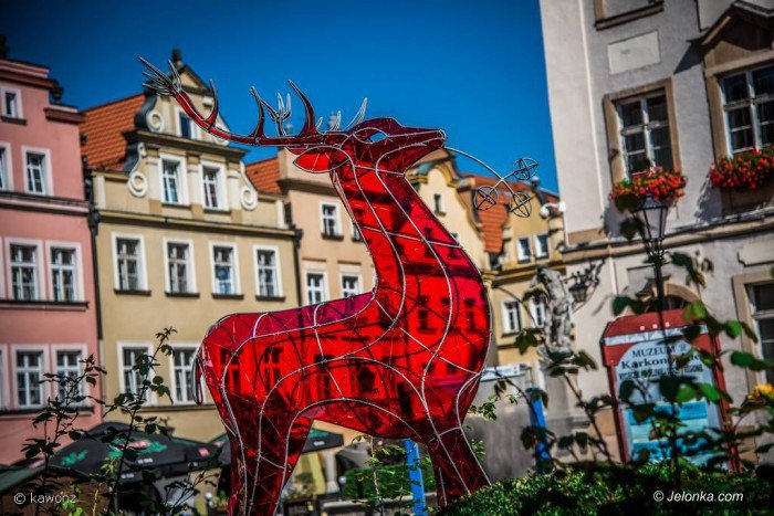 jelonek-zmodyfikowany-prezentuje-sie-w-centrum-foto-70543