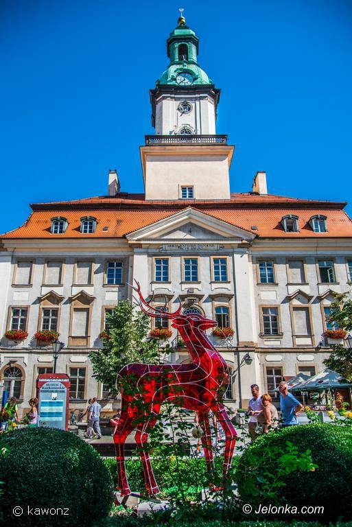 jelonek-zmodyfikowany-prezentuje-sie-w-centrum-foto-70543