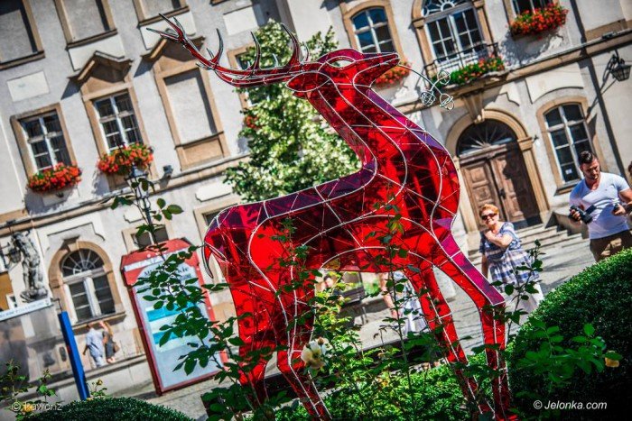 jelonek-zmodyfikowany-prezentuje-sie-w-centrum-foto-70543