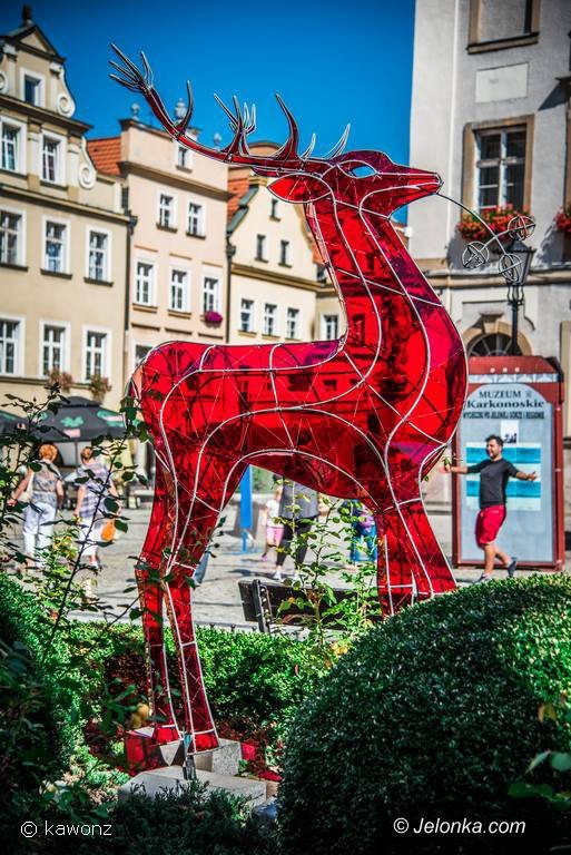 jelonek-zmodyfikowany-prezentuje-sie-w-centrum-foto-70543