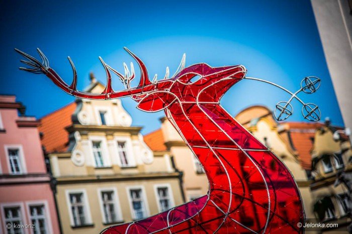 jelonek-zmodyfikowany-prezentuje-sie-w-centrum-foto-70543