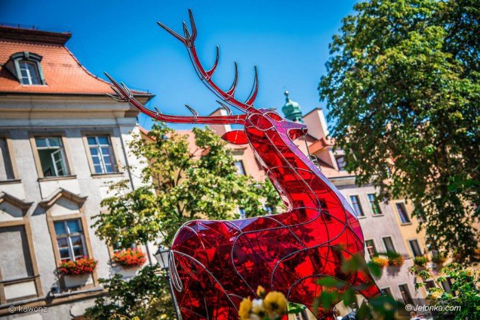 jelonek-zmodyfikowany-prezentuje-sie-w-centrum-foto-70543