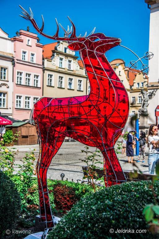 jelonek-zmodyfikowany-prezentuje-sie-w-centrum-foto-70543