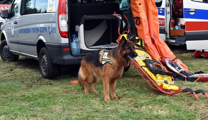 swietna-zabawa-na-pikniku-w-komarnie-foto-70601