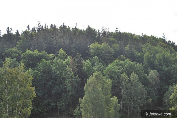 co-dalej-z-wieza-w-maciejowej-foto-70604