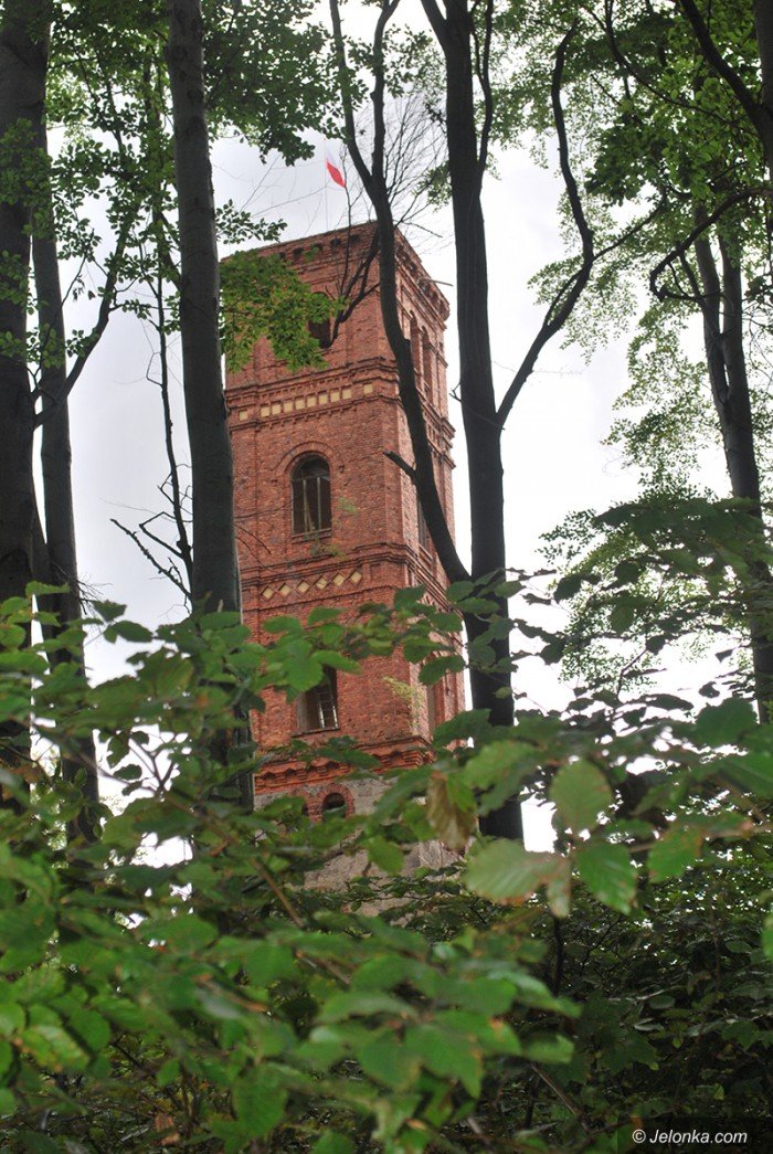 co-dalej-z-wieza-w-maciejowej-foto-70604