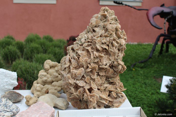 gieda-mineraow-i-nie-tylko-jeszcze-dzisiaj-foto-70611
