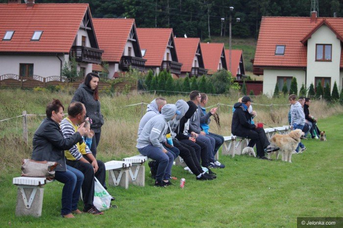 pika-nozna-wrocia-na-osiedle-czarne-foto-70666
