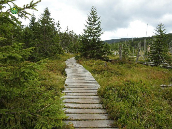 karkonosze-oblegane-przez-turystow-foto-70757