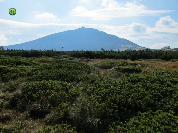 karkonosze-oblegane-przez-turystow-foto-70757