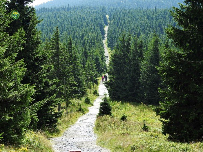 karkonosze-oblegane-przez-turystow-foto-70757