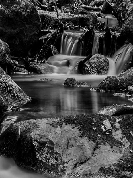 debiut-modego-fotografa-w-mdk-muflon-foto-70830