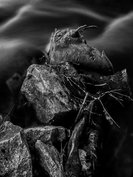 debiut-modego-fotografa-w-mdk-muflon-foto-70830