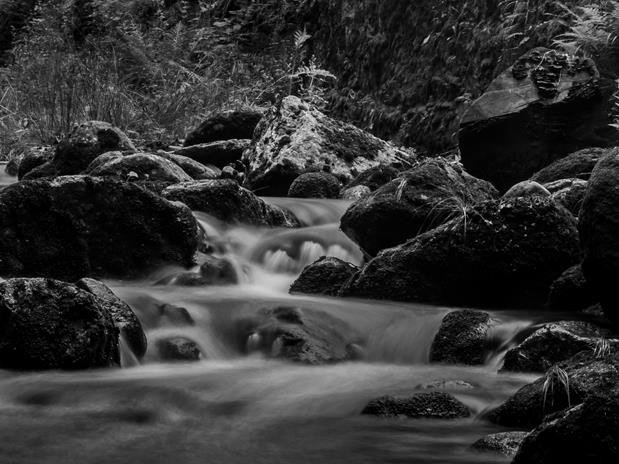 debiut-modego-fotografa-w-mdk-muflon-foto-70830